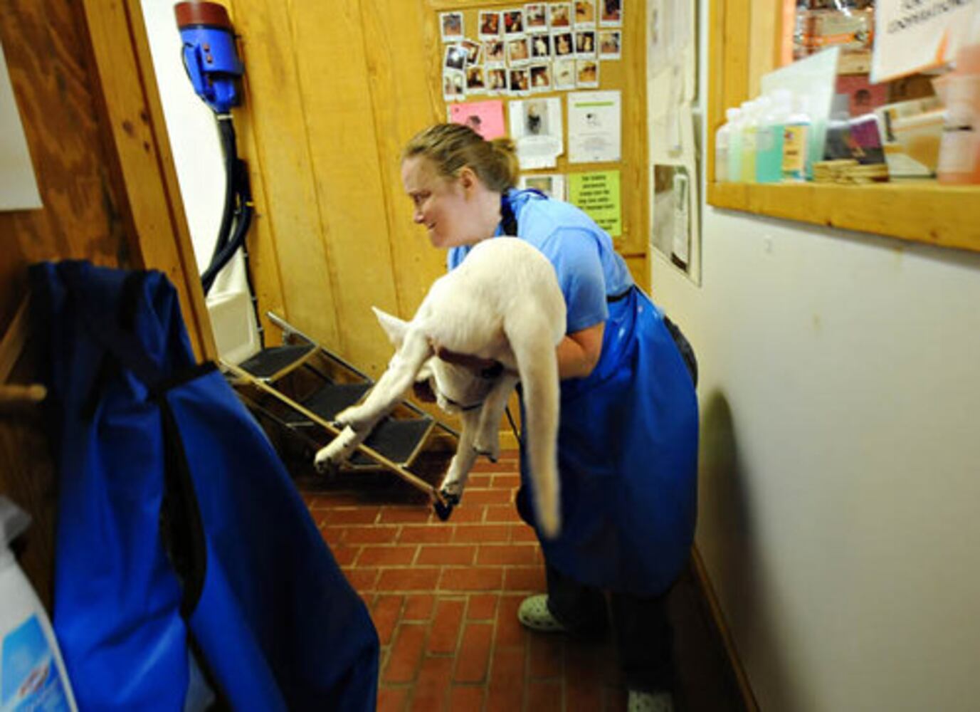 Dog wash fundraiser