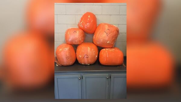 The Rockdale County Sheriff's Office seized 160 pounds of marijuana. (Credit: Rockdale County Sheriff's Office)