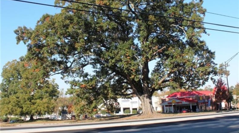 The centuries-old red oak tree that has stood along U.S. 78 in Snellville since before the signing of the Constitution has been removed. (Courtesy City of Snellville)