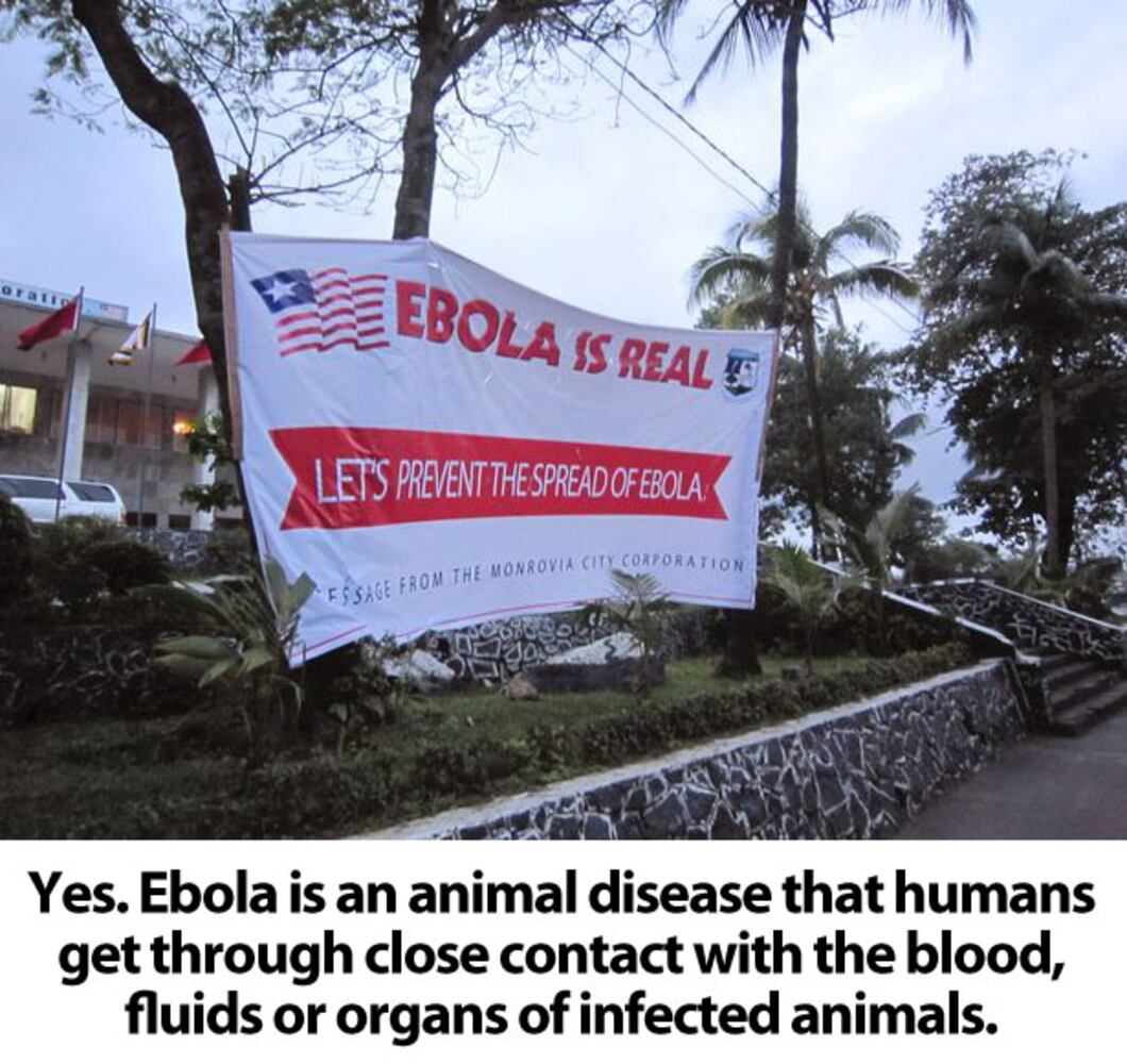 Ebola virus Q & A