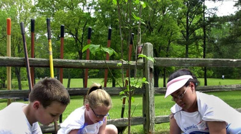 Free tree seedlings will be given away as part of Woodstock’s Arbor Day celebration Friday, Feb. 15. AJC FILE