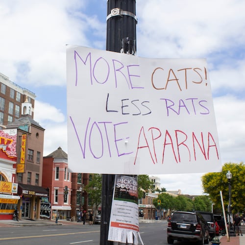 A hand-made campaign sign is posted outside the Lincoln Theatre and Ben’s Chili Bowl in the U Street Corridor of Washington, Sunday, June 7, 2026. (AP Photo/Tallulah Brown Van Zee)