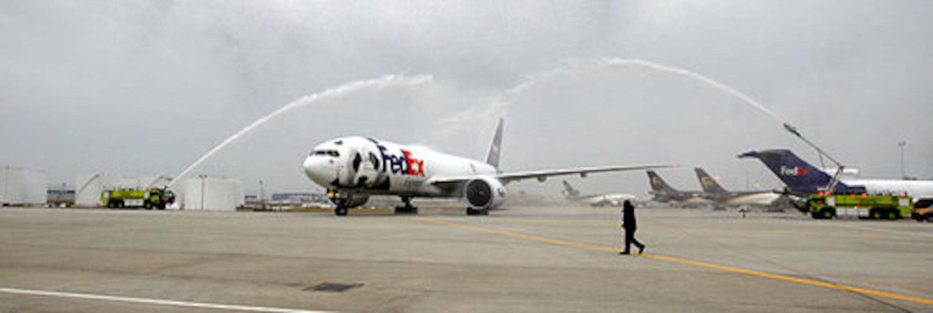 Panda Mei Lan flies out of Atlanta