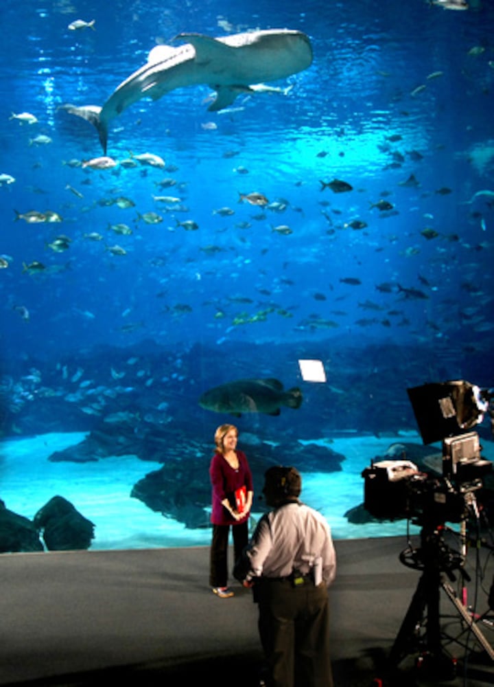 Today' show returns to Georgia Aquarium