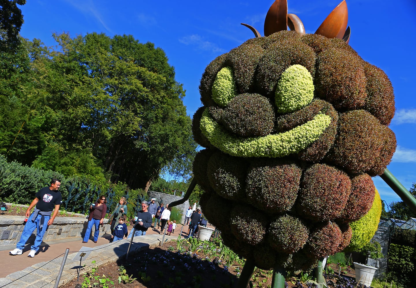 Goblins in the Garden