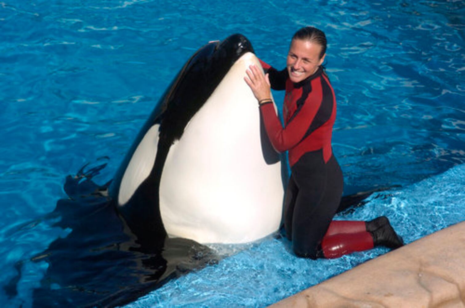 Trainer killed at SeaWorld photos
