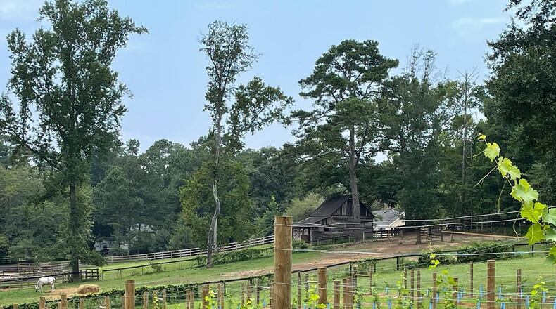 Milton has voted to extend a moratorium on farm wineries until Jan. 19, 2022. (Courtesy Painted Horse Winery)