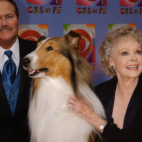 FILE - June Lockhart, right, who played the character of Ruth Martin, mother of Timmy Martin, played by Jon Provost, left, during the classic series "Lassie," poses for a photograph with Lassie, 9th generation, during arrivals at CBS's 75th anniversary celebration Sunday, Nov. 2, 2003, in New York. (AP Photo/Louis Lanzano, File)