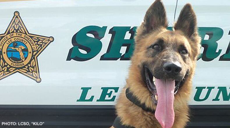 "Kilo" Lee County Sheriff's Office
