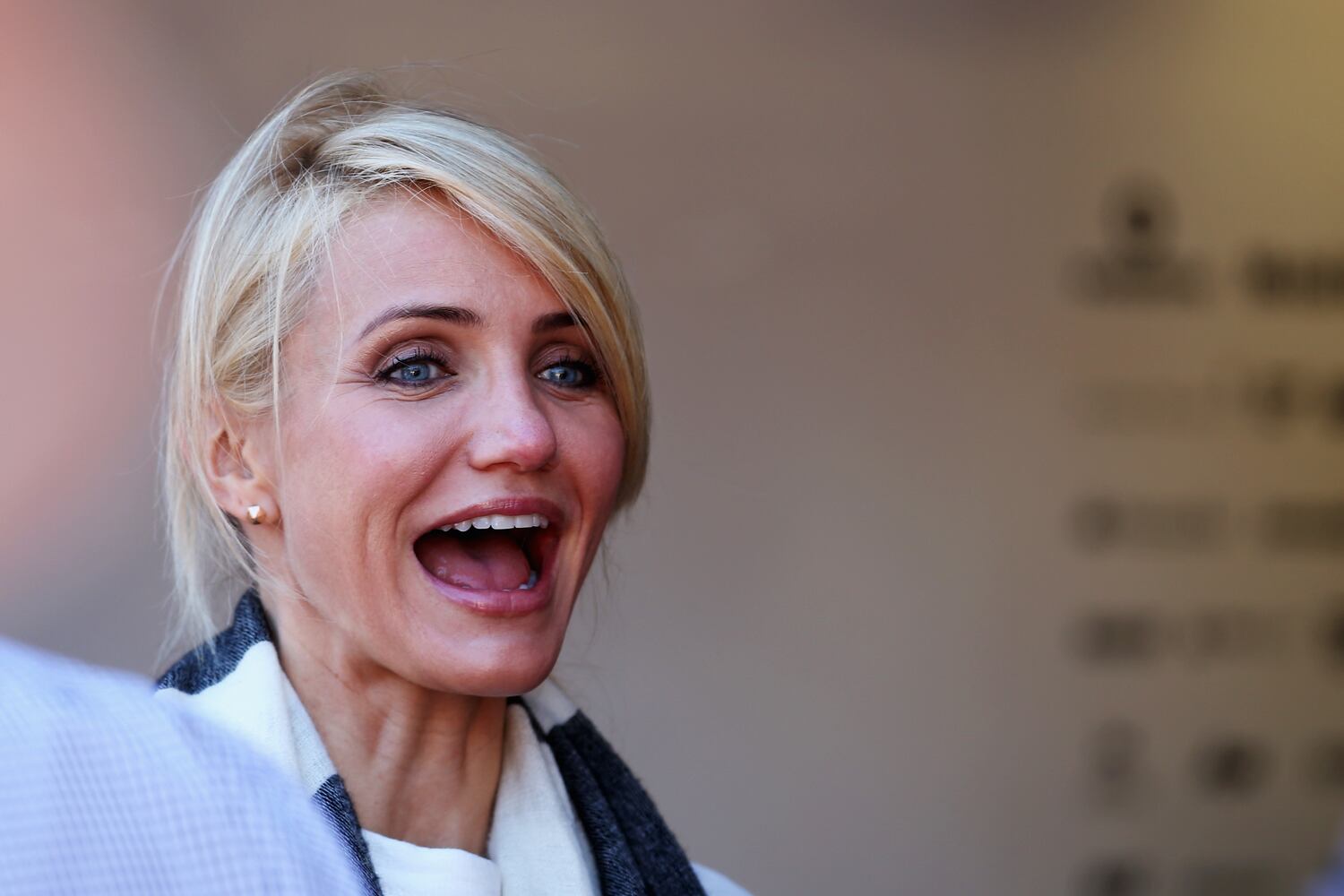 Cameron Diaz worked for the Elite Model Management and modeled for Calvin Klein and Levi's.