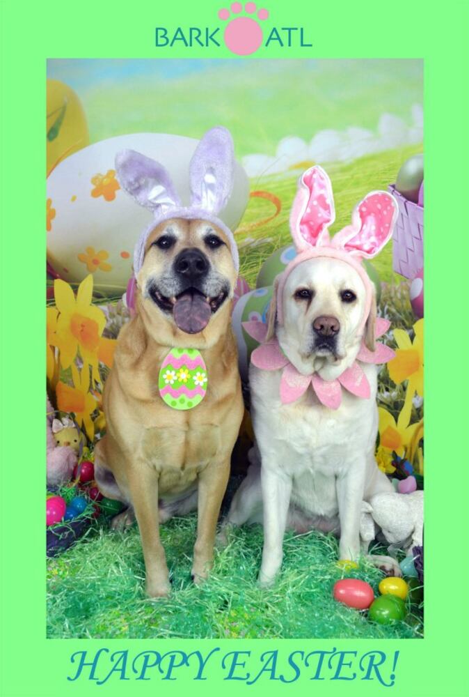 Easter pups on parade at Bark ATL 2013