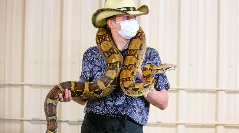 Brandon Barry from Cool Zoo holds a Colombian boa constrictor during the reptile show Repticon Atlanta at the Gwinnett County Fairgrounds on Sunday, January 10, 2021. (Photo: Steve Schaefer for The Atlanta Journal-Constitution)