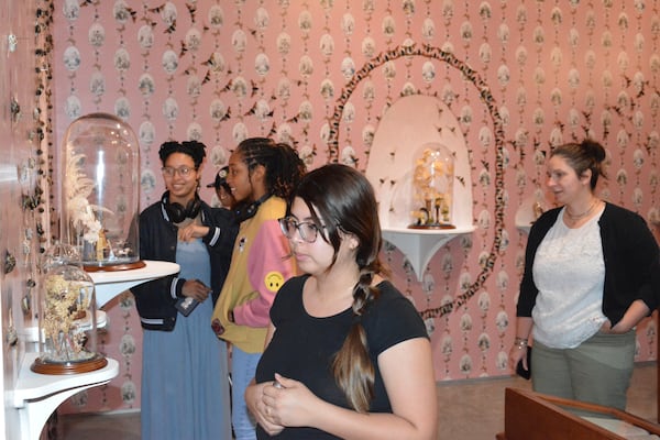 Jennifer Angus' installation at Kennesaw State University's Zuckerman Museum of Art features thousands of bugs arranged in decorative shapes on the gallery walls and placed in whimsical vignettes under bell jars. (Courtesy of Mike Jensen/Bernard A. Zuckerman Museum of Art)