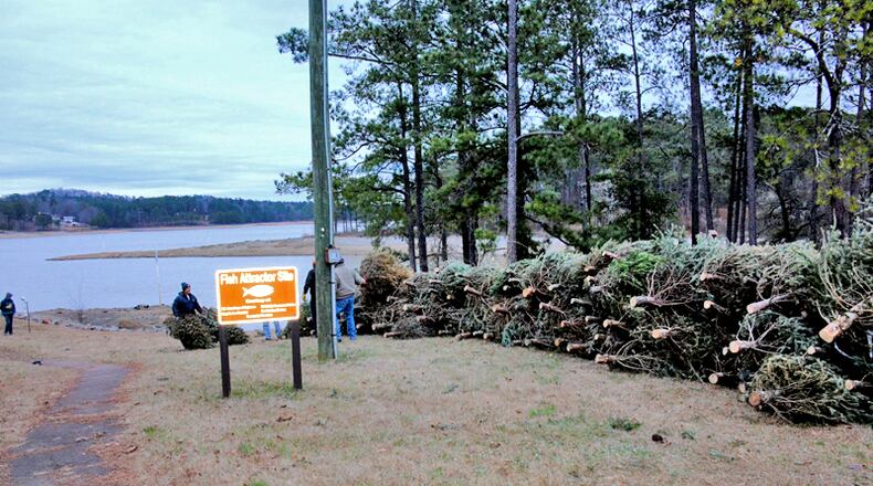 Allatoona Lake will begin accepting Christmas trees at seven sites Saturday, Dec. 26. The trees will be deposited in the lake to create fish habitats.