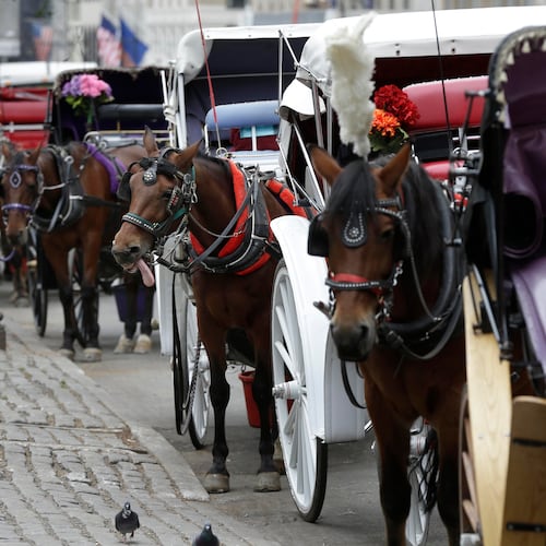 FILE - Horses and carriages wait for customers on Oct. 23, 2013, near Central Park in New York. (AP Photo/Seth Wenig, File)