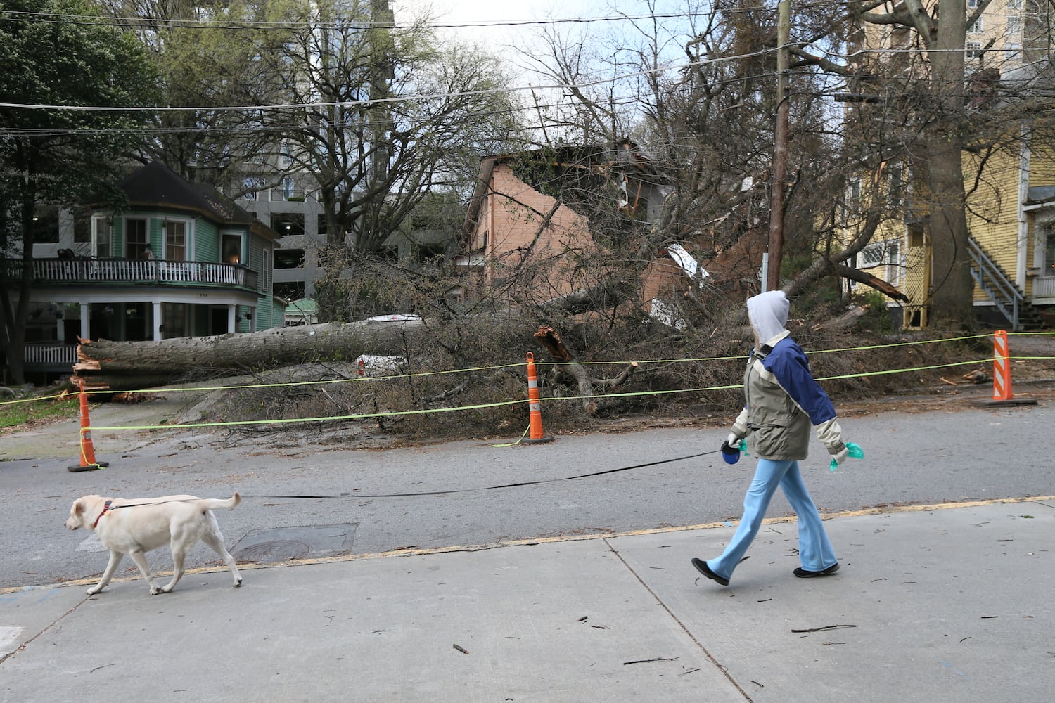 Tree falls on 13th Street west of Piedmont