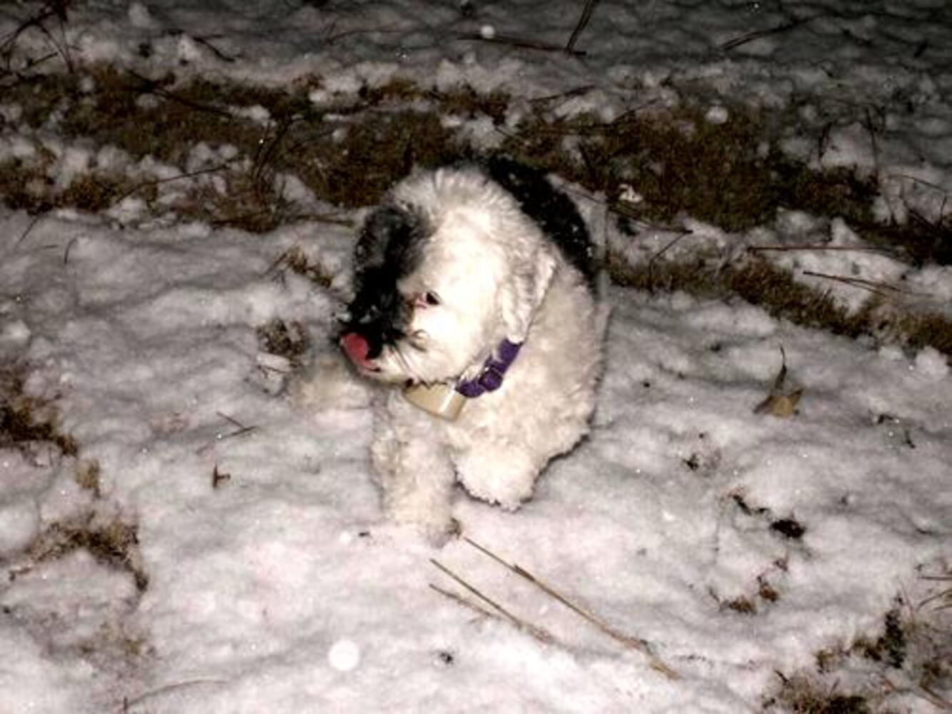 Reader photos: Snow in Georgia, Gallery 2