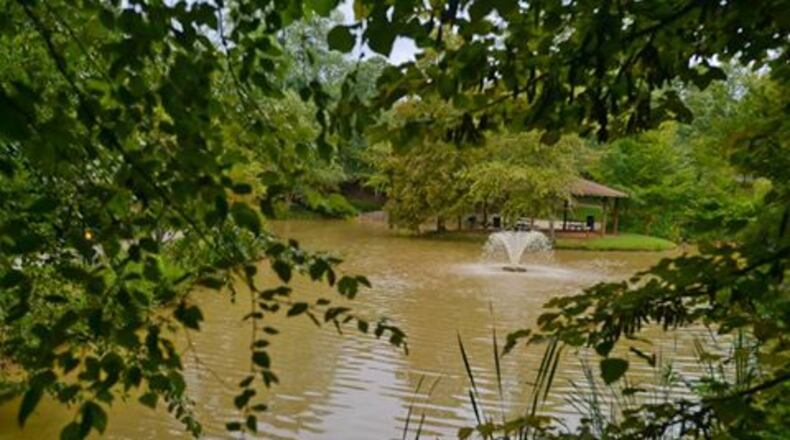 Johns Creek had alum added to the retention pond at Newtown Park to clear up the water’s murkiness. No one expected what happened next. CITY OF JOHNS CREEK