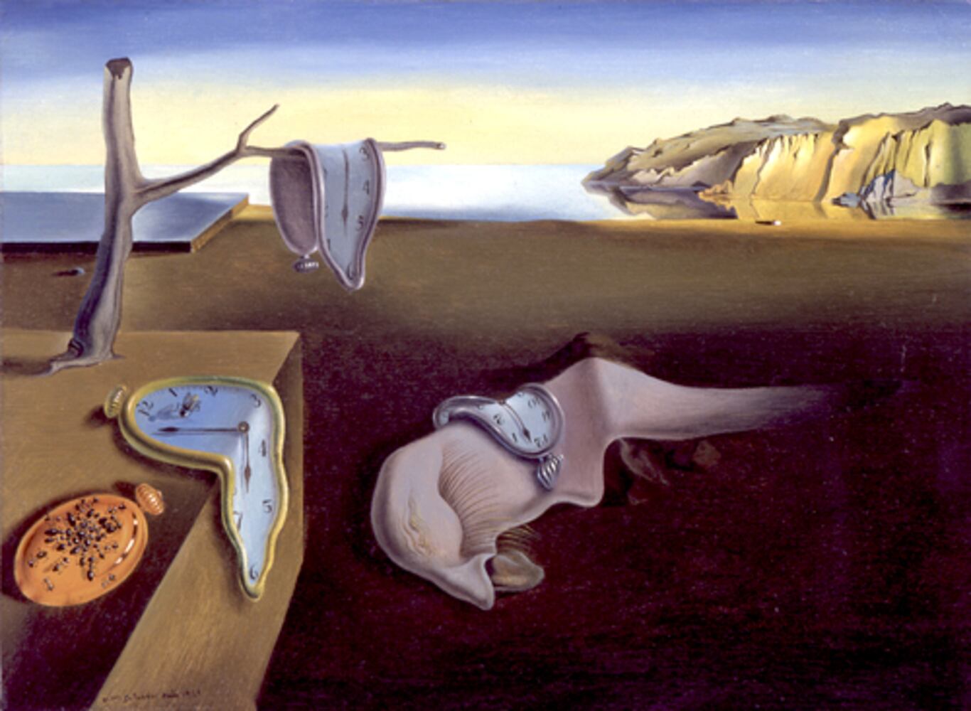 The Salvador Dali Museum