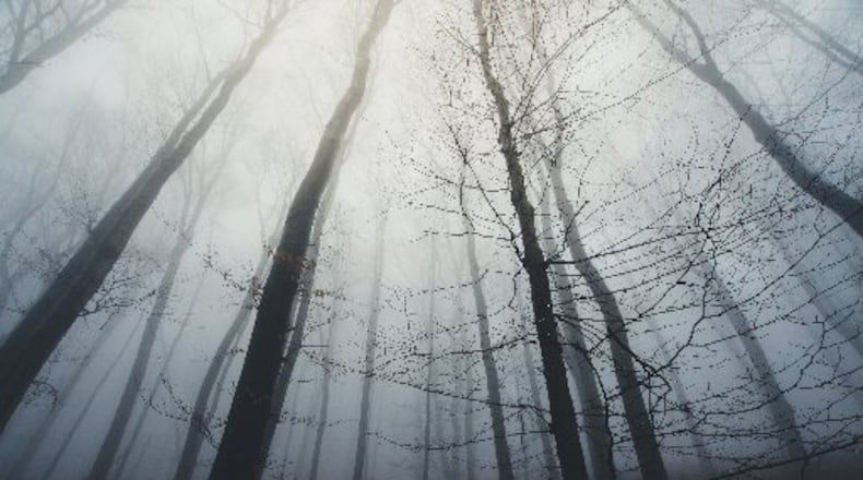 In the final days of the Legislature, dead bills can spring to life, as has the campus rape bill. (AJC file)