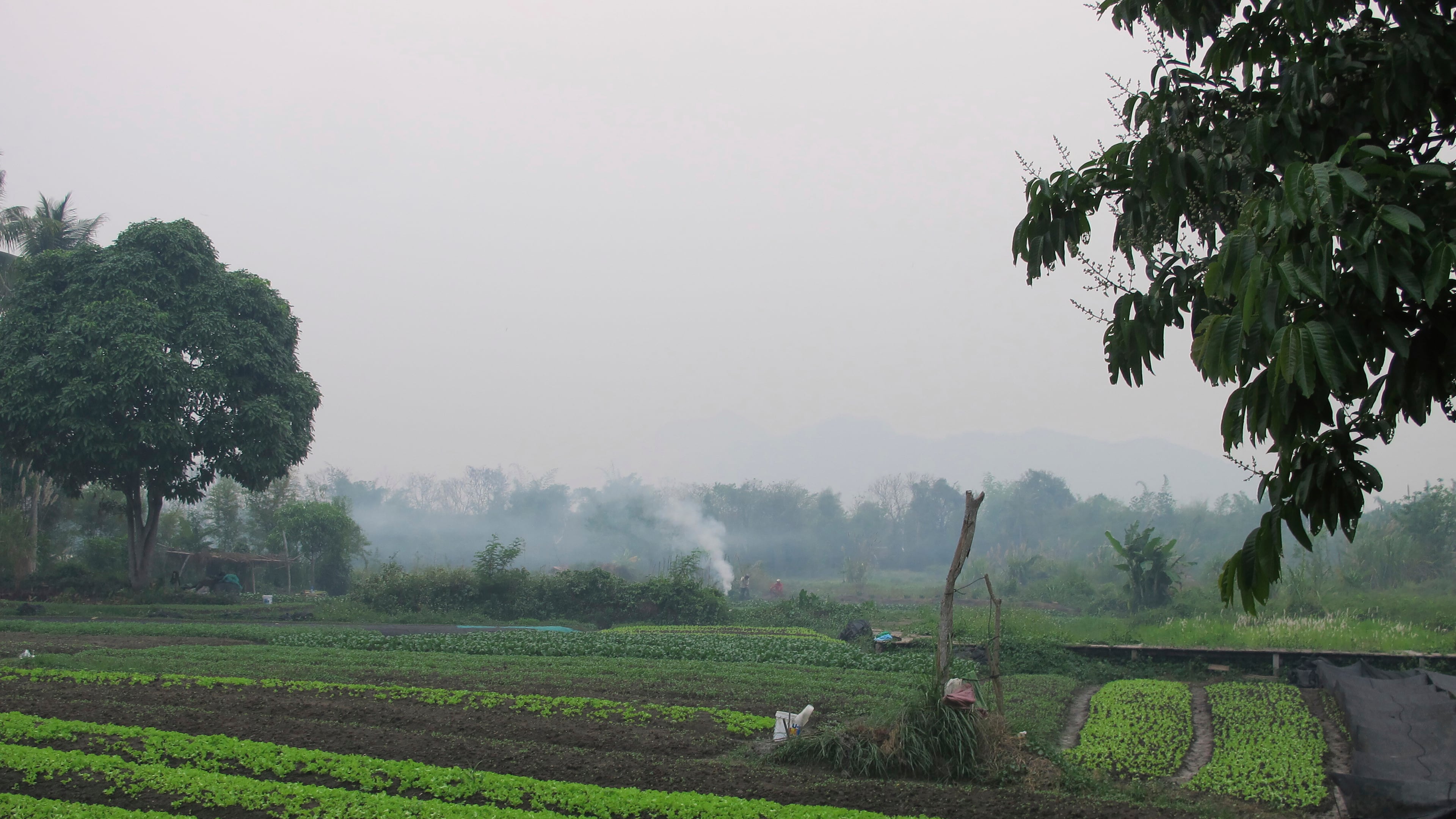 FILE - Farmers burn crop waste from a field outside the Laos UNESCO heritage site of Luang Prabang, Saturday, April 6, 2024. (AP Photo/Elaine Kurtenbach, File)