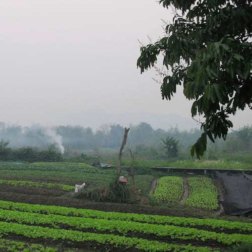 FILE - Farmers burn crop waste from a field outside the Laos UNESCO heritage site of Luang Prabang, Saturday, April 6, 2024. (AP Photo/Elaine Kurtenbach, File)