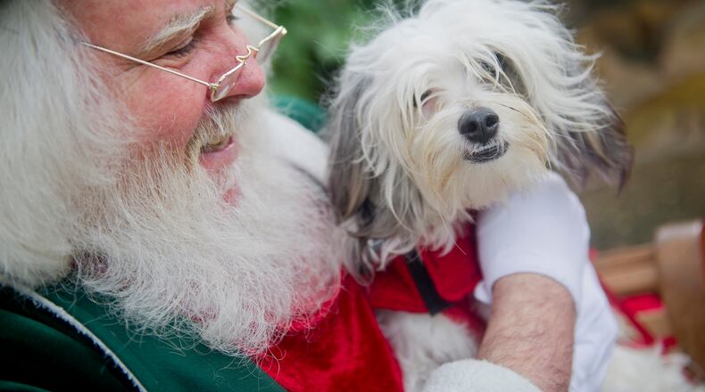 You can dress your pals up for the annual Reindog Parade at Atlanta Botanical Garden, which takes place in December. JONATHAN PHILLIPS / SPECIAL