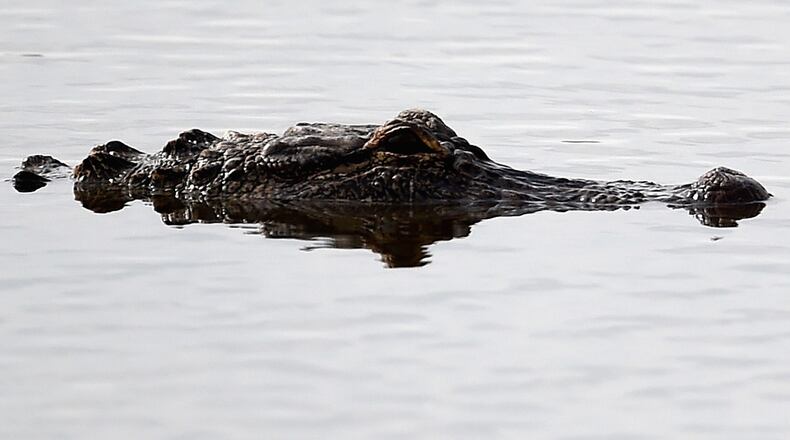 Getty file photo (Photo by Stacy Revere/Getty Images)