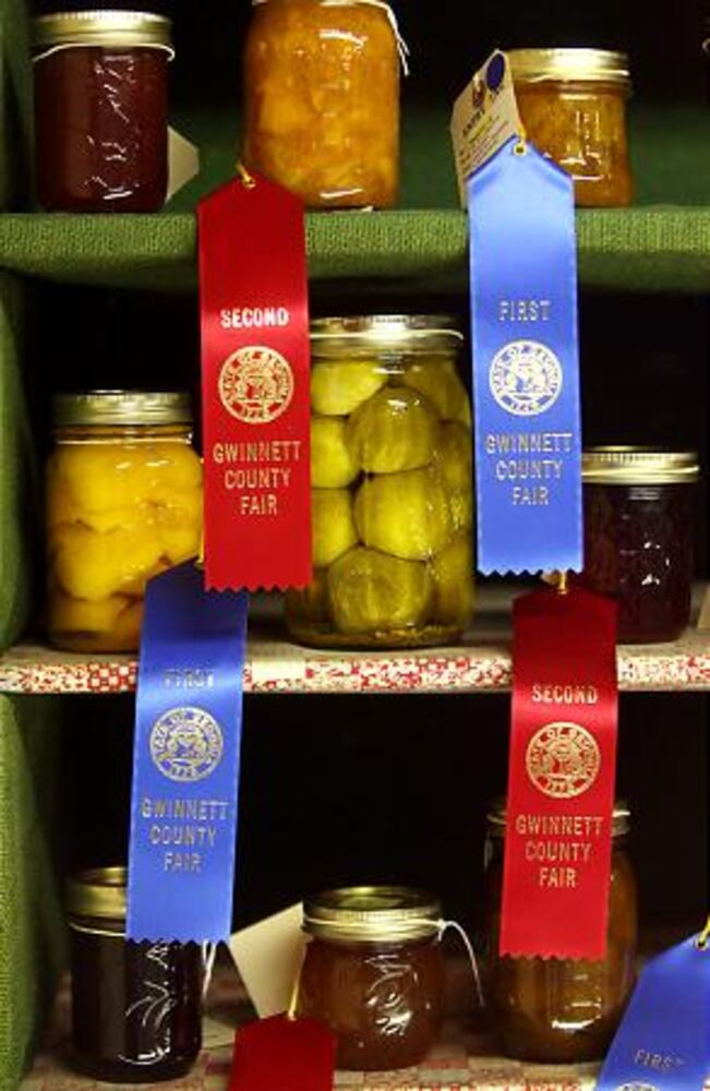 Gwinnett County Fair