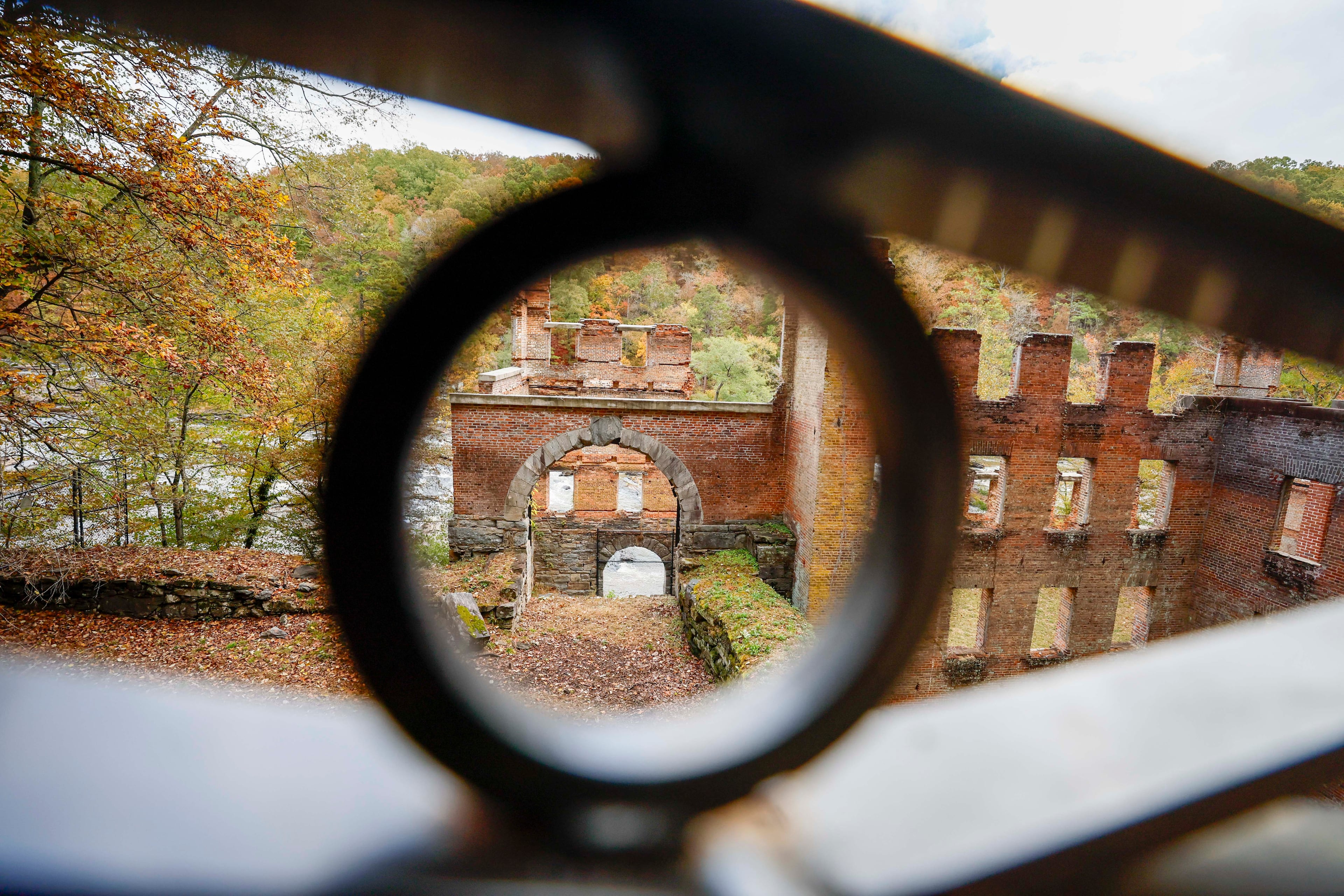 The taxidermied animals at the Sweet Water Creek visitors center are worth the increased parking fee alone.