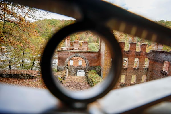 The taxidermied animals at the Sweet Water Creek visitors center are worth the increased parking fee alone.