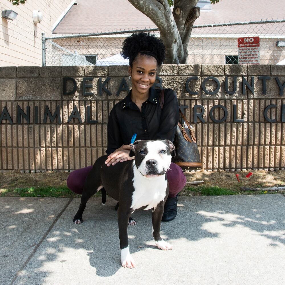 LifeLine animal shelters host free event to house 840 animals