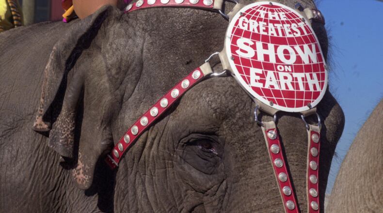 000221 - ATLANTA, GA -- One of the elephants displays the slogan, 'The Greatest Show on Earth', AKA the Ringling Bros. Barnum and Bailey Circus, as it walked the downtown streets of Atlanta in a Circus Parade Monday, February 21, 2000 as it wound a route near Centennial Olympic Park in downtown Atlanta. The Circus will be in town at Philips Arena through Feb. 27. (KIMBERLY SMITH/AJC staff)