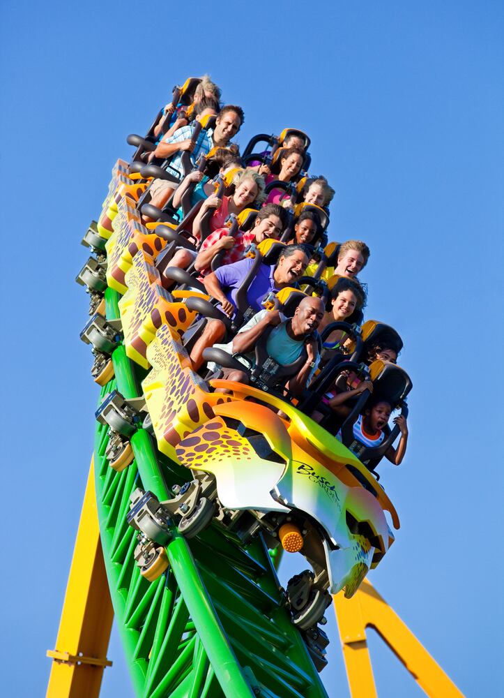 Busch Gardens in Tampa