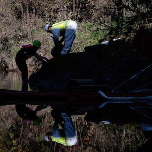 Workers clean oil and sludge runoff from the UPS plane crash from a waterway known as Northern Ditch on Nov. 8, 2025, in Louisville, Kentucky. (Jon Cherry/AP)