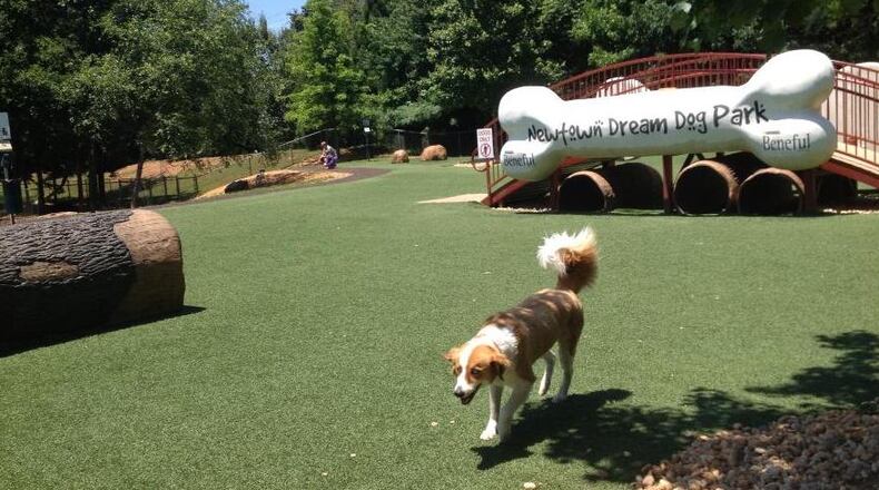 The Newtown Dog Park in Johns Creek will close for renovations March 1. (Courtesy City of Johns Creek)