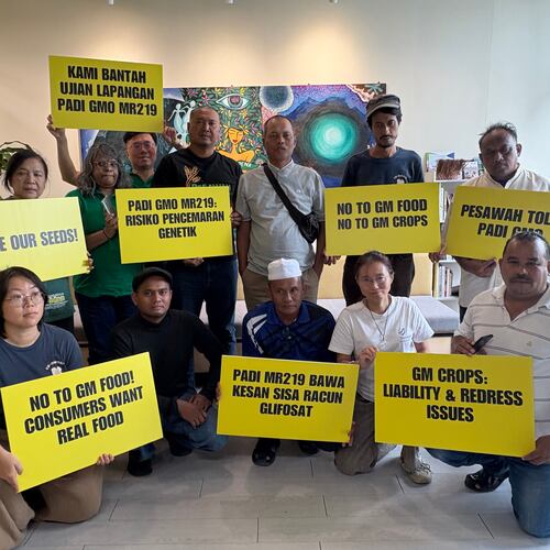 A coalition of farmers, consumer and environmental groups hold placards after a press conference at the Greenpeace office in Kuala Lumpur, Malaysia, Tuesday, Aug. 11, 2026. (AP Photo/Eileen Ng)