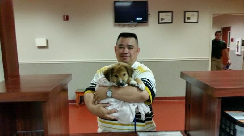 Veterans may adopt dogs and cats for free at the Cobb County Animal Shelter. Courtesy of Cobb County