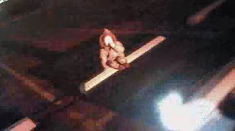 Youtube/user: ABQPUBLICSAFETY