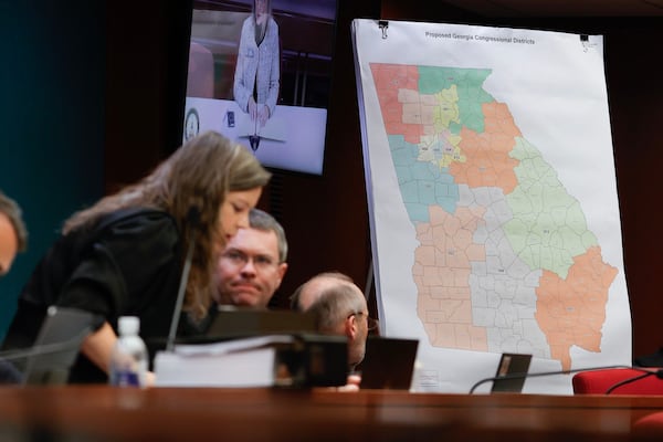 The Georgia State House Reapportionment and Redistricting committee in 2022. 