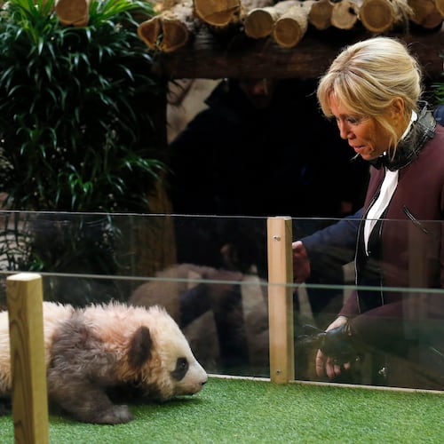 FILE - French First lady Brigitte Macron attends a naming ceremony of the panda born at the Beauval Zoo, in Saint-Aignan-sur-Cher, France, on Dec. 4, 2017. (AP Photo/Thibault Camus, Pool, File)