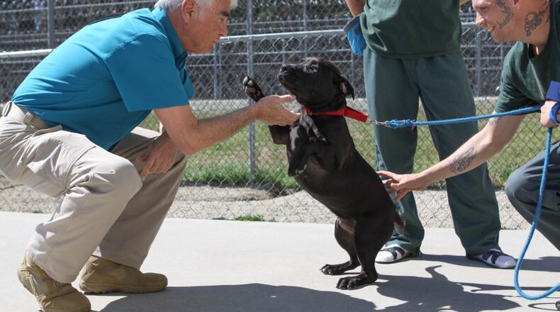 Gwinnett County Sheriff Butch Conway, left, plays with a 'jail dog.' (Special photo, courtesy Dana Louise Photography)