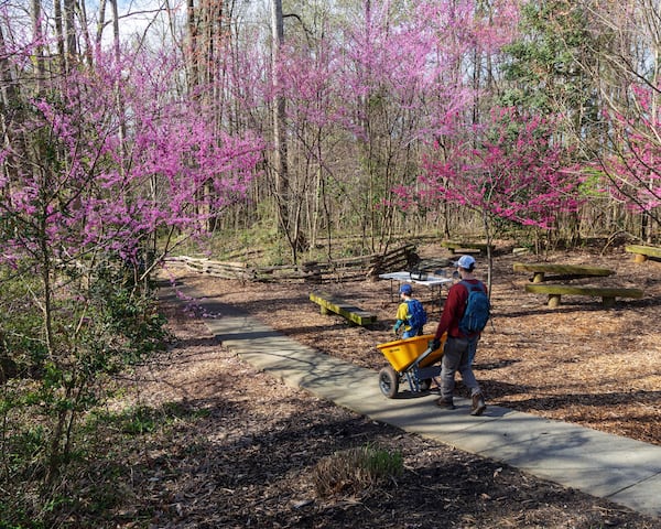Take a Sandy Springs Nature Conservancy walk through the John Ripley Forbes Big Trees Forest Preserve on Saturday. (Courtesy of Wes Smith)