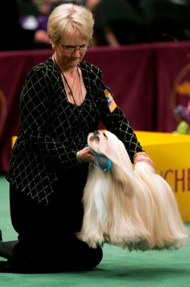 Day 1 of Westminster Dog Show in New York