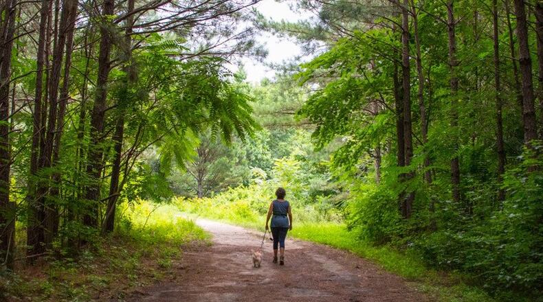 Parks and recreation are among the issues to be addressed in Milton's new, five-year strategic plan. The city asks residents to get involved through a social engagement platform and upcoming visioning forums.