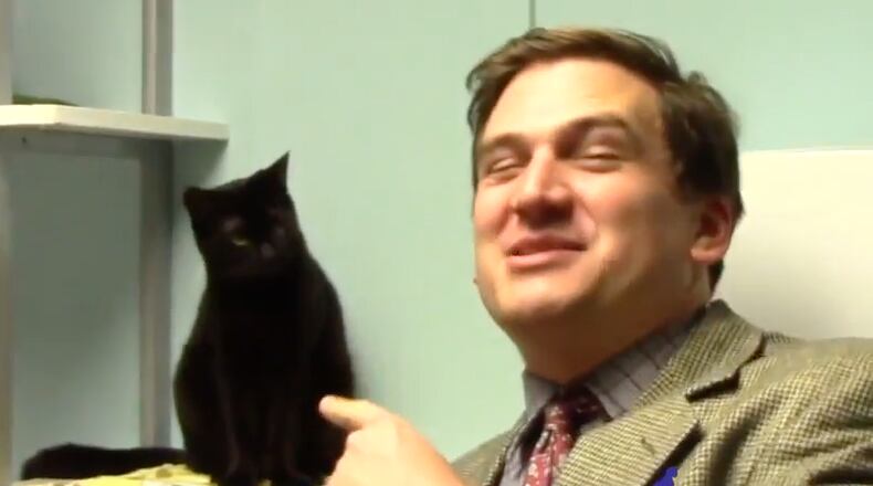 Like midnight inside a coffin!