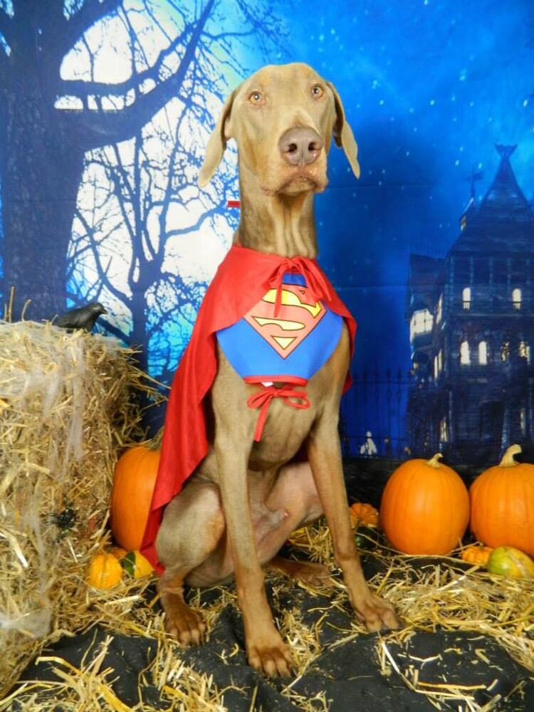 Tyson