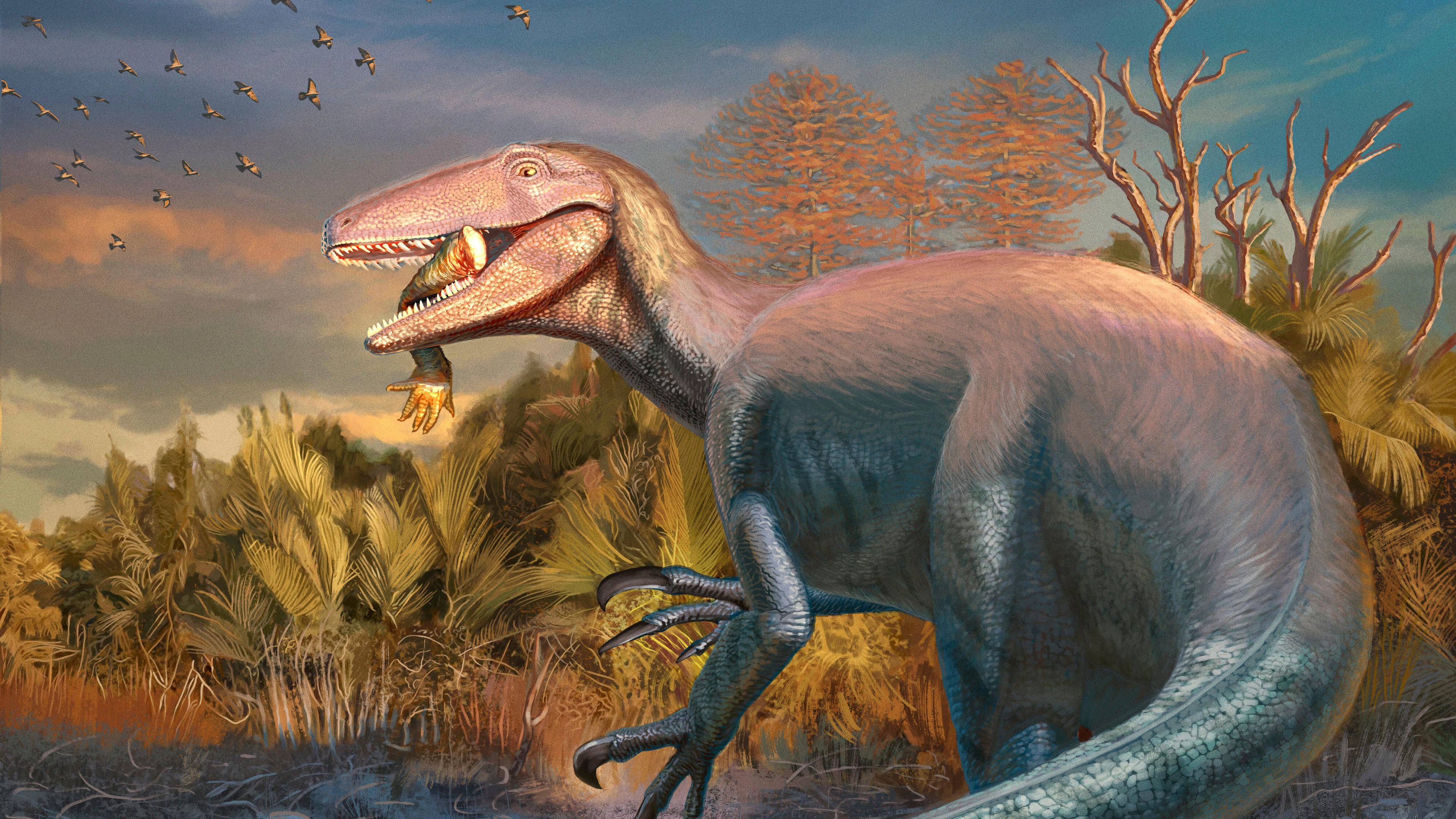 This image shows an artist's illustration of the newly discovered dinosaur Joaquinraptor casali with an ancient crocodile relative's front leg in its mouth. (Andrew McAfee, Carnegie Museum of Natural History via AP)