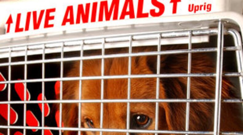 Secure pertinent information to your pet carrier such as the flight number, destination and your pet's name and age if they are traveling in the cargo hold. The American Humane Association recommends placing "Live Animal" and/or "This End Up" stickers on the pet's carrier, as this picture shows.