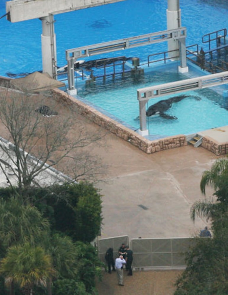 Trainer killed at SeaWorld photos
